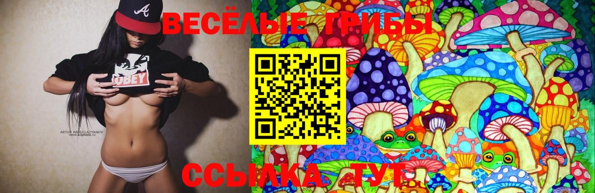 Псилоцибиновые грибы ЛСД  Галлюциногенные грибы Psilocybine cubensis  Златоуст  Вход с VPN 